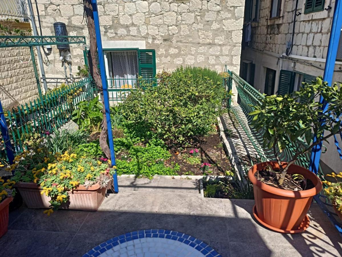 Apartma Belvedere *
